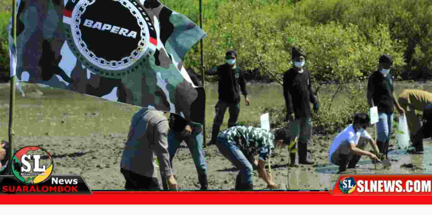 Bapera Kecamatan Pujut