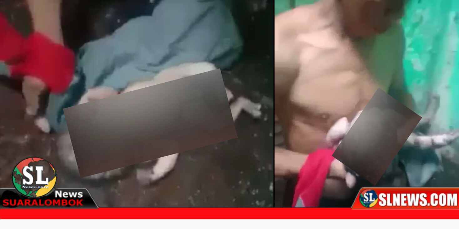 Desa Darek Kecamatan Praya Barat Daya Lombok Tengah