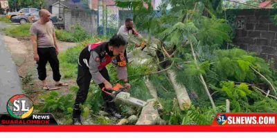 Polsek Praya Tengah bersihkan batang pohon yang tumbang di jalan raya Gerantung