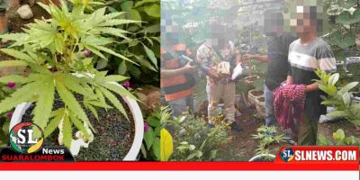 Sat Res Narkoba Polres Lombok Tengah
