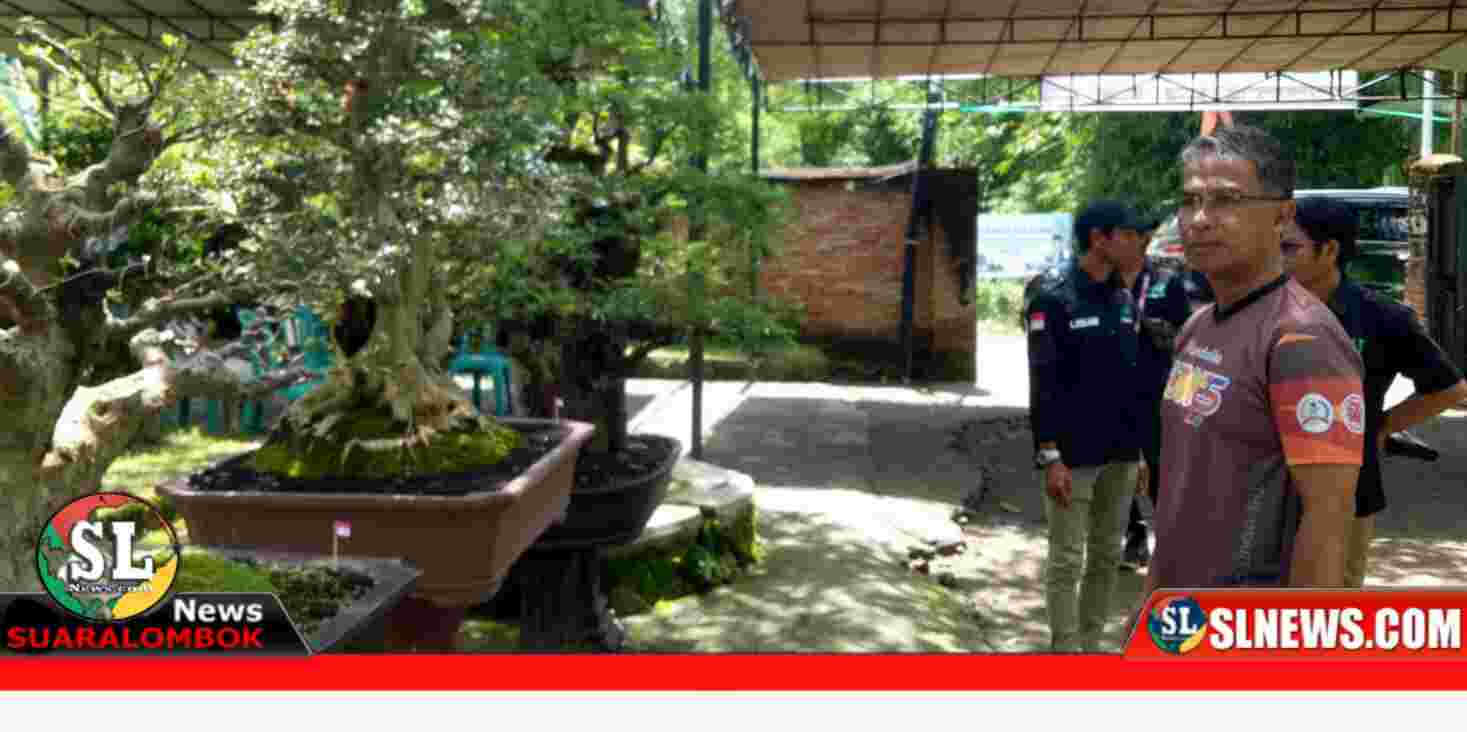 Pameran dan Kontes Bonsai ke II di Desa Kateng Lombok Tengah