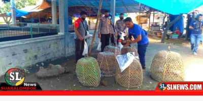 Tim Puma Polres Lombok Tengah