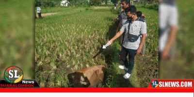 Polsek Praya Polres Lombok Tengah