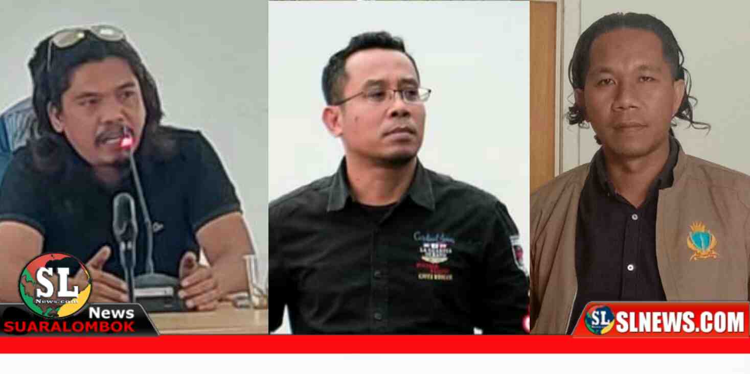 LSM Lidik, Fakta dan Sasaka