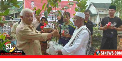 PDIP NTB