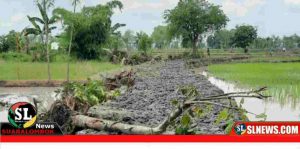 Proyek Jalan Usaha Tani di Desa Penujak