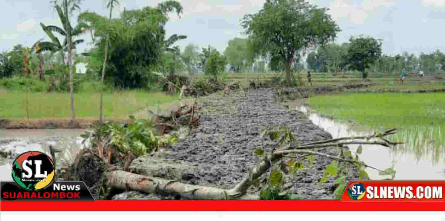 Proyek Jalan Usaha Tani di Desa Penujak