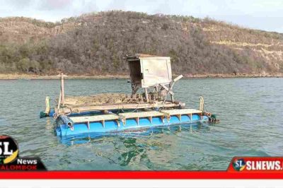 Buaya di Teluk Bumbang Lombok Tengah