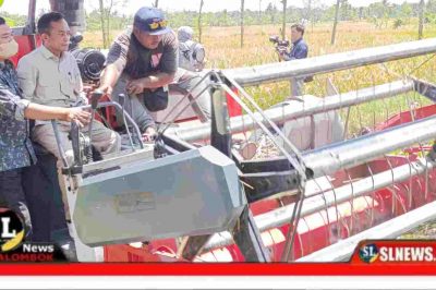 Pemkab Lombok Tengah Gelar Panen Raya Padi Nasional