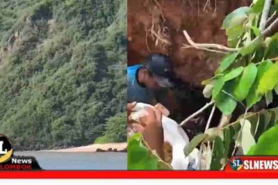 Penambang Emas Ilegal di Bukit Dekat KEK Mandalika Tewas Tertimbun