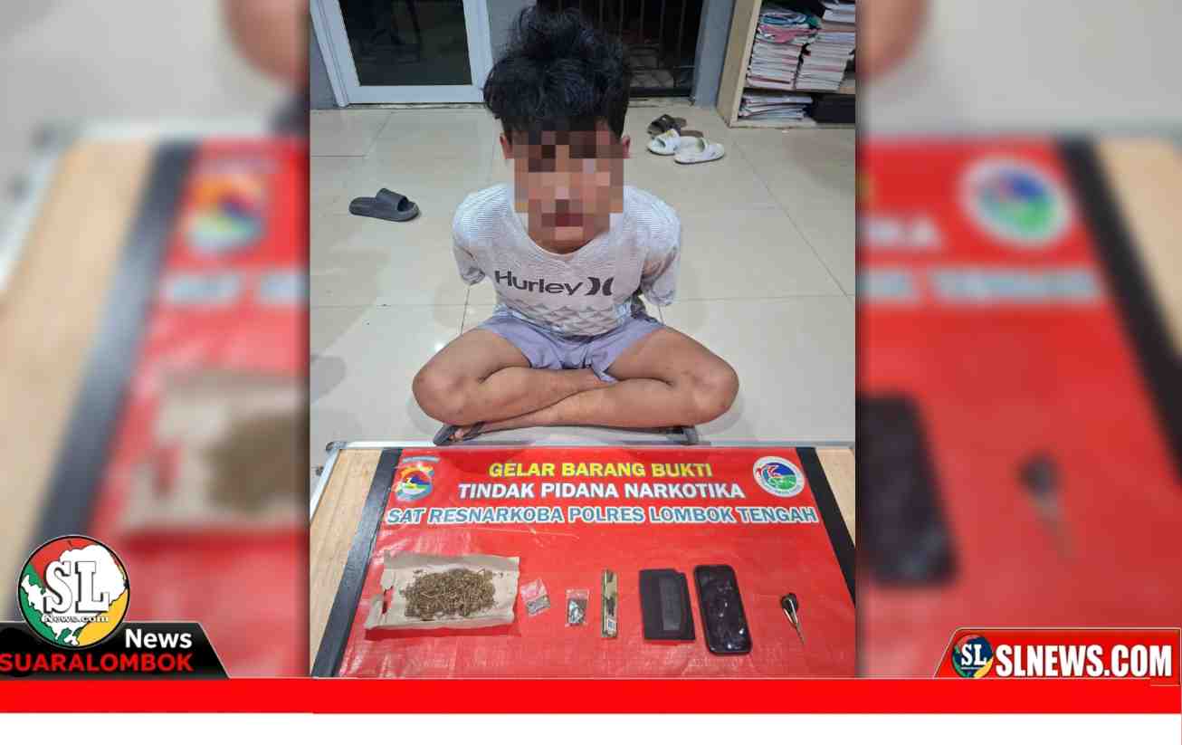 Pengedar Ganja asal Kota Mataram di Tangkap di Lombok Tengah
