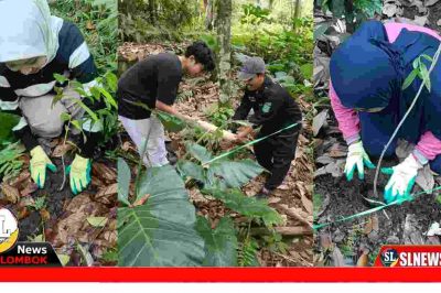 Mahasiswa Unram Tanam Gaharu di Senaru