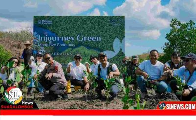 ITDC Tanam Ribuan Bibit Mangrov di The Mandalika