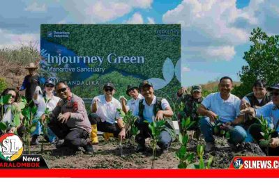 ITDC Tanam Ribuan Bibit Mangrov di The Mandalika